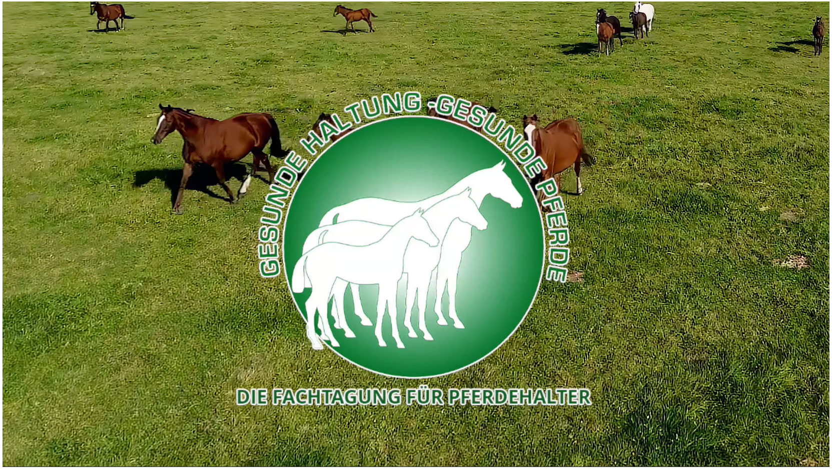 Stall Gause: Petra Mehn (Jury), Torsten Landschütz (R+V Versicherungen), Michelle Klaus (Olimond BB), Mareike Petersen (IST Studieninstitut), Sabine Svanstroem-Gause, Fr.-W. Gause (Stall Gause), Dr. Christa Finkler-Schade (Schade & Partner), Dr. Marc Lämmer (Jury)(v.l.n.r.)