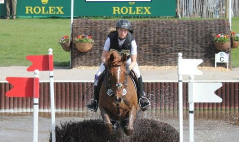 Fachberatung | Leistung - Springpferd im Parcours