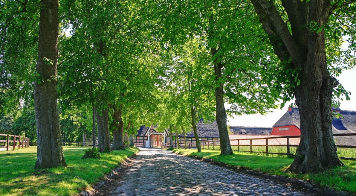 Essing - Hofeinfahrt