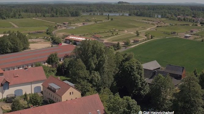 Zeichen setzen 2022 – Pferdebetriebe gesucht!