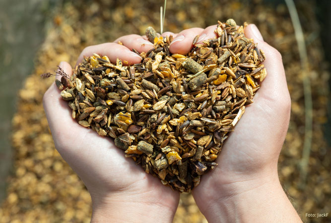 Seminarreihe 2024: Pferde Ernährung