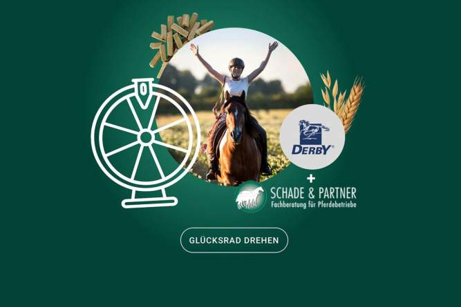 Das Derby Glücksrad - Partnerbild von Derby und Schade & Partner